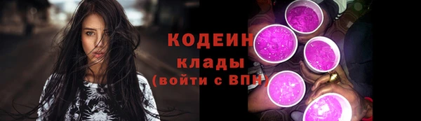 МДПВ Туринск