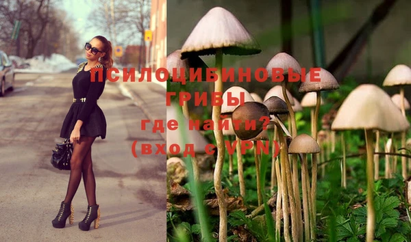 МДПВ Туринск