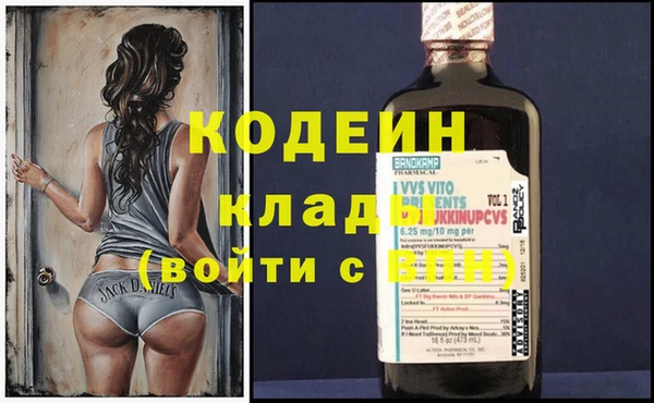МДПВ Туринск