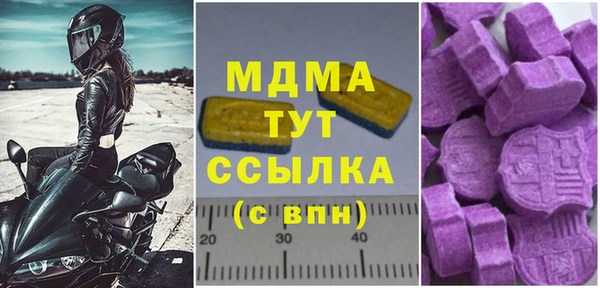 МДПВ Туринск