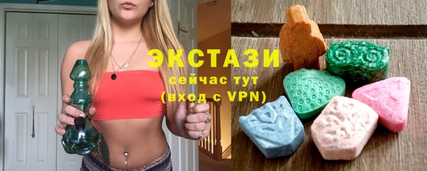 МДПВ Туринск