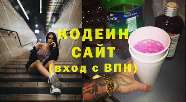 МДПВ Туринск