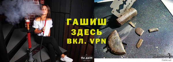 МДПВ Туринск