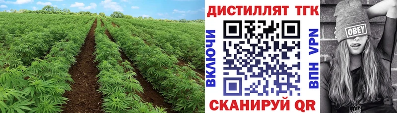 Купить  Бугуруслан  Дистиллят ТГК концентрат 