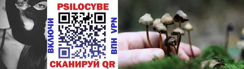 Псилоцибиновые грибы GOLDEN TEACHER  Купить  Бугуруслан 